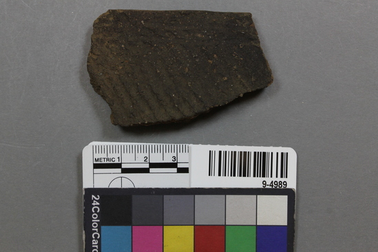 Hearst Museum object titled Potsherd, accession number 9-4989, described as Jomon rim potsherd