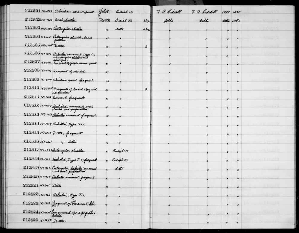 Documentation associated with Hearst Museum object titled Worked shell, accession number 1-212518, described as Haliotis shell fragment, Type T-1.