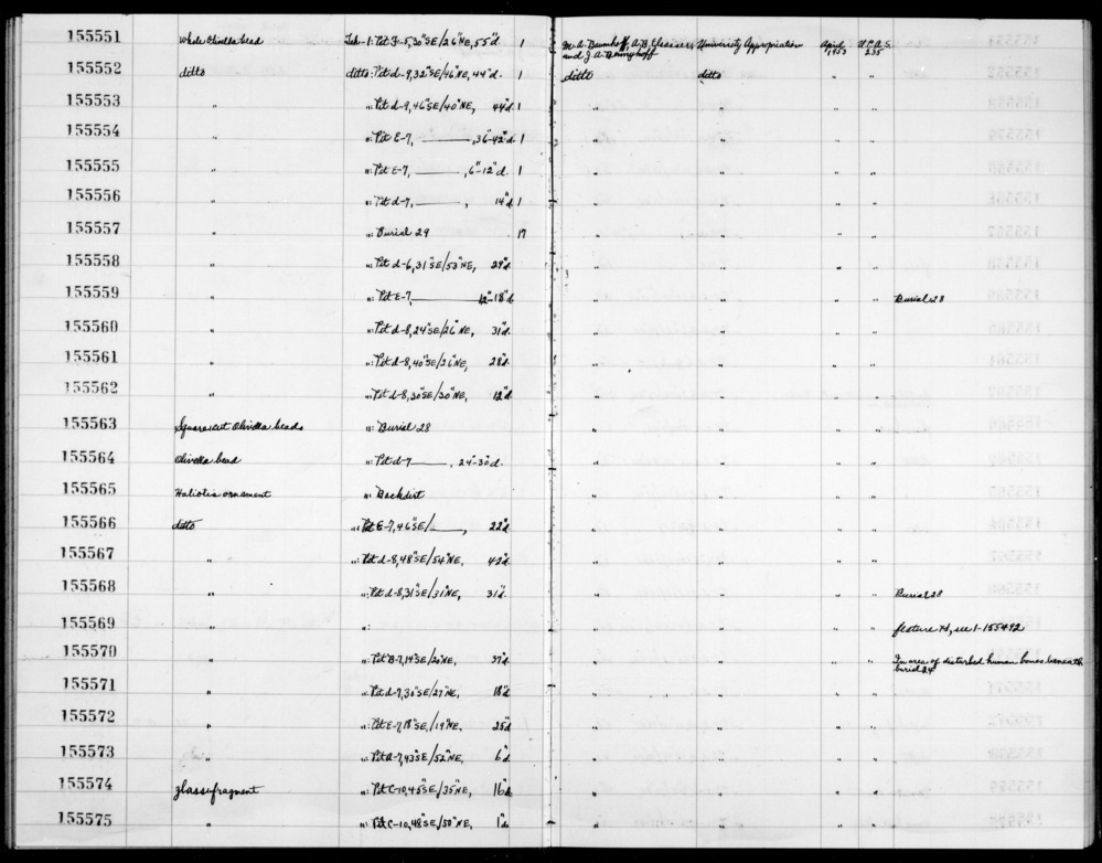 Documentation associated with Hearst Museum object titled Bead, accession number 1-155551, described as Whole Olivella