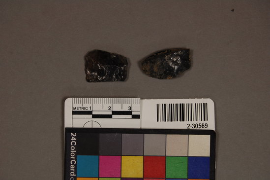 Hearst Museum object titled Scraper fragment, accession number 2-30569, described as Scraper fragment obsidian