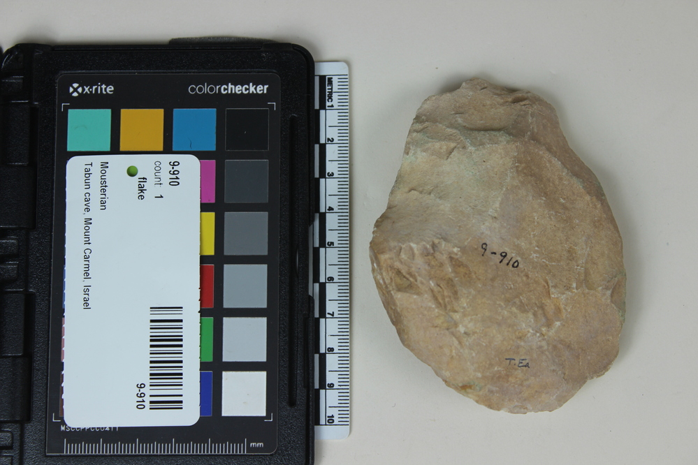 Hearst Museum object titled Flake, accession number 9-910, described as Acheuleo-Mousterian flint