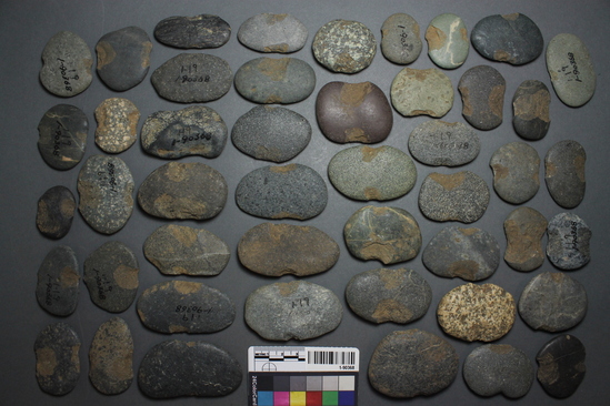 Hearst Museum object titled Sinkers, accession number 1-90368, described as Chert notched sinkers.