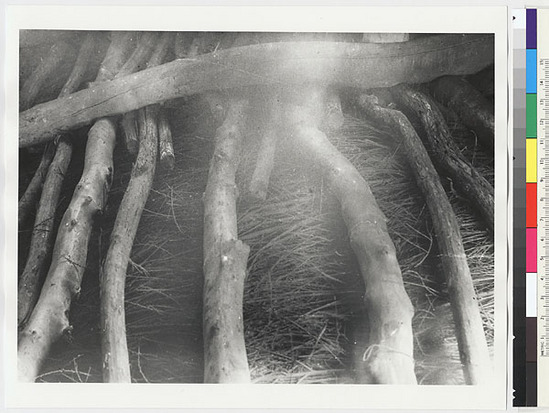 Hearst Museum object titled Black-and-white negative, accession number 15-6162, described as Ceiling of dance house showing beams and brush thatch