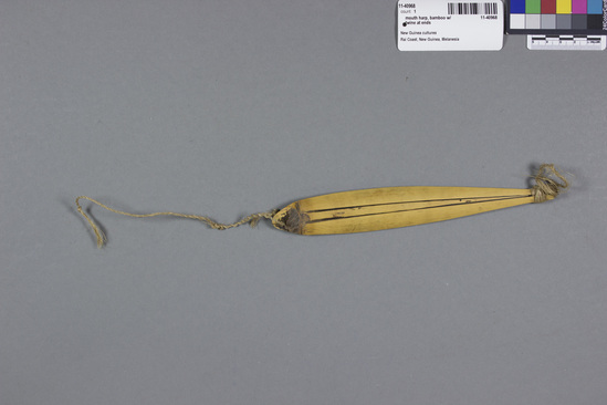 Hearst Museum object titled Mouth harp, accession number 11-40968, described as mouth harp; bamboo with  twine at ends