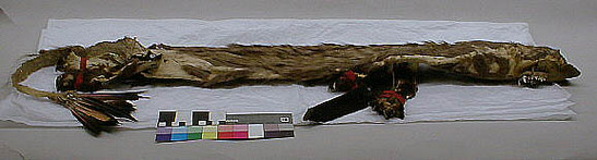 Hearst Museum object titled Quiver, accession number 1-83, described as Quiver