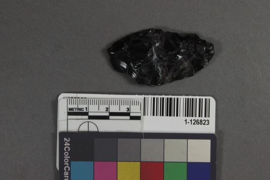 Hearst Museum object titled Projectile point fragment, accession number 1-126823, described as Obsidian projectile point fragment.