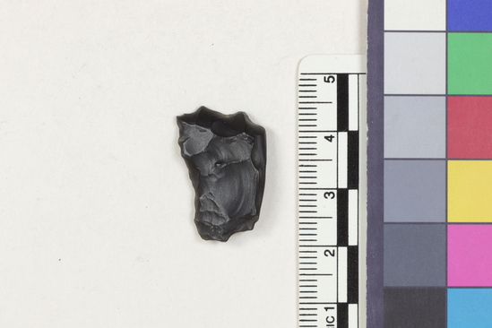 Hearst Museum object 2 of 2 titled Flake, accession number 16-14397, described as Projectile point fragment; obsidian; triangular; weight: 1.85 grams; length: 1.55 cm; width: 2.43 cm; depth: 0.49 cm.