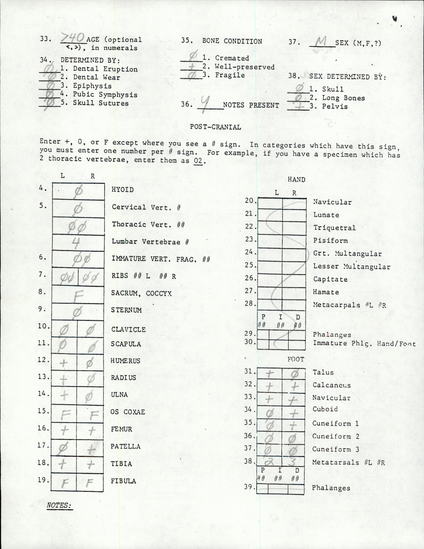 Documentation associated with Hearst Museum object titled Human remains, accession number 12-9506(0), no description available.