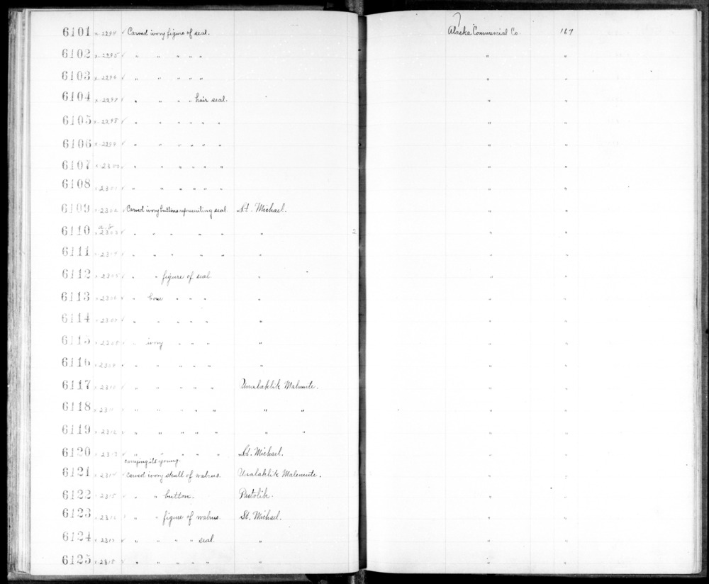 Documentation associated with Hearst Museum object titled Zoomorph, accession number 2-6117, described as Carved ivory figure of a young walrus.  Engraved and darkened outlines.