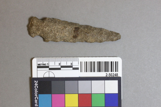 Hearst Museum object titled Projectile point, accession number 2-50248, described as Projectile point
