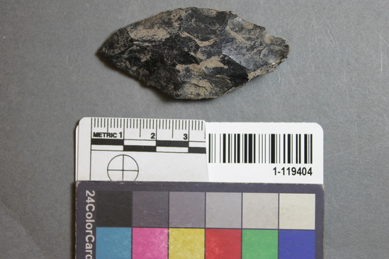 Hearst Museum object titled Projectile point fragment, accession number 1-119404, described as Obsidian projectile point fragment.