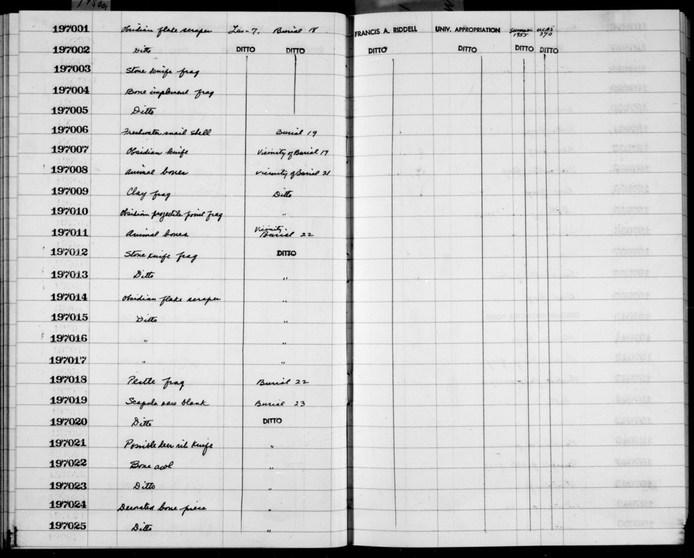 Documentation associated with Hearst Museum object titled Awl, accession number 1-197022, described as Bone awl