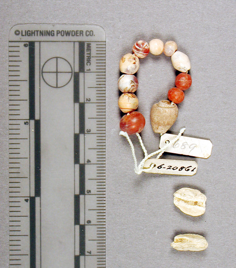 Hearst Museum object titled Mixed beads, accession number 6-20861, described as Carnelian beads, pendant, shell. Late Middle  Empire