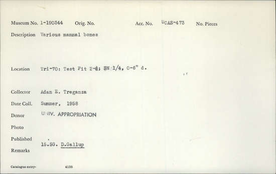 Documentation associated with Hearst Museum object titled Faunal remains, accession number 1-190344, described as Various mammal bones