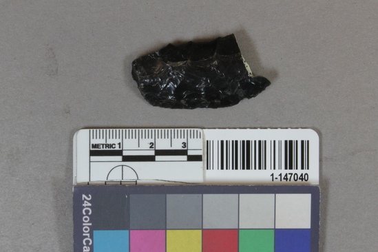 Hearst Museum object titled Blade, accession number 1-147040, described as obsidian blade frag.