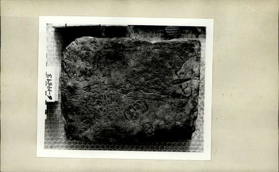 Documentation associated with Hearst Museum object titled Stela, accession number 6-19893, described as stele. 22.5x31cm