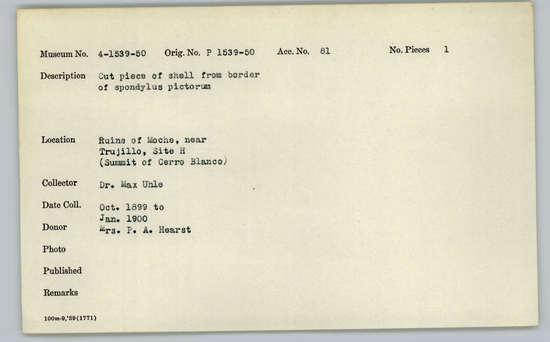 Documentation associated with Hearst Museum object titled Cut shell piece, accession number 4-1550, described as Cut piece of shell from border of Spondylus pictorum.