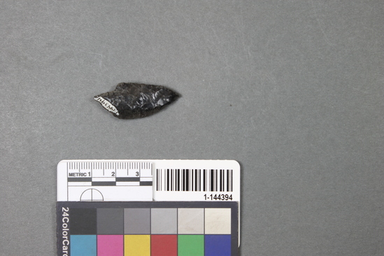 Hearst Museum object titled Projectile point, accession number 1-144394, described as Obsidian.