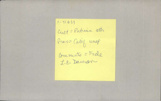 Documentation associated with Hearst Museum object titled Winnowing tray, accession number 1-71369, described as Coiled basket, deep tray.  Tag "Maidu att.".  Tag on baskets "D-62". Per Ralph Shanks:  Coiled basket winnowing tray.  Tight spiral, pinhole start.  The basket has a three rod foundation, probably willow.  The weft materials are peeled and unpeeled redbud.  The design at the base is a four sided star/flower.  On the sides is one horizontal band of zigzags, forming a four pointed star/flower.   The workface is on the inside, with many split stitches on the backface.  The weft fag ends are concealed and the work direction is to the left.  The basket has a plain wrapped rim with a blunt coil ending.  This is basket is attributed to the Patwin due to the shape and depth of the basket and the peeled redbud background.