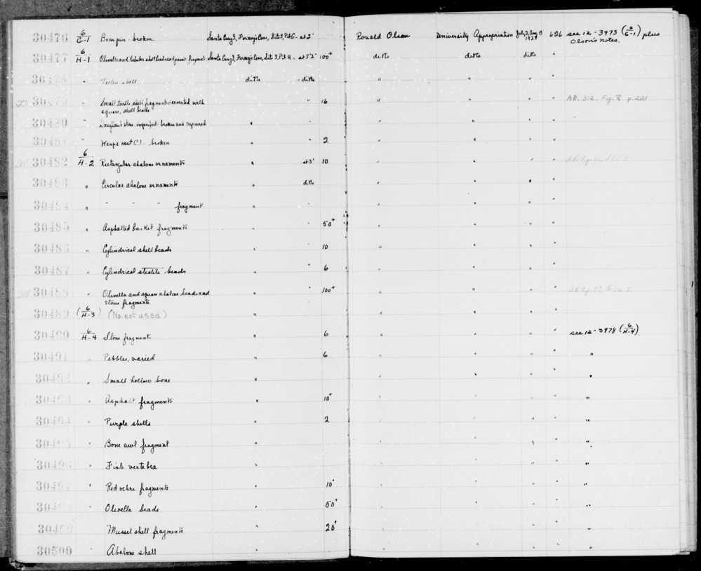 Documentation associated with Hearst Museum object titled Awl fragment, accession number 1-30495, described as Made of bone. Notice: Image restricted due to its potentially sensitive nature. Contact Museum to request access.