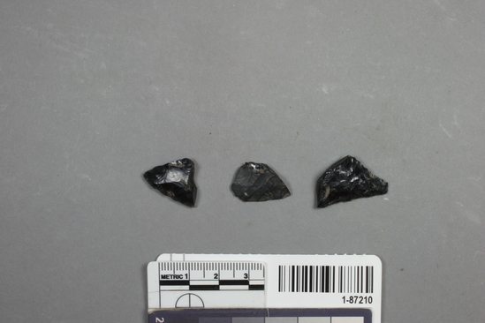 Hearst Museum object titled Projectile point fragments, accession number 1-87210, described as projectile point fragments, obsidian