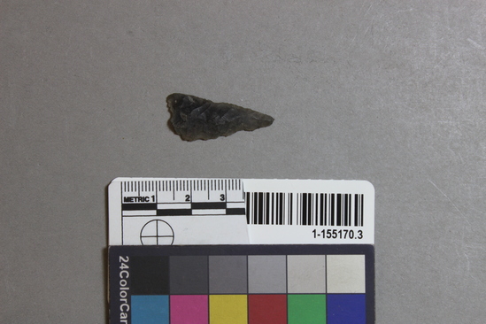 Hearst Museum object titled Point fragment, accession number 1-155170, described as Obsidian.