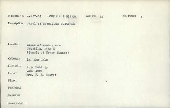 Documentation associated with Hearst Museum object titled Shell, accession number 4-933, described as Shell of Spondylus pictorum.