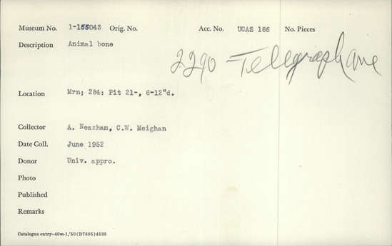 Documentation associated with Hearst Museum object titled Faunal remains, accession number 1-155043, described as Animal bone.