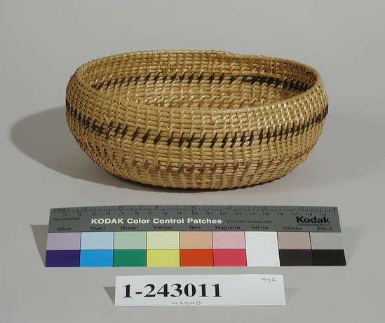 Hearst Museum object titled Basket, accession number 1-243011, described as Coiled, 1 rod, open oval shape with flat bottom, widely spaced stitches, split/unsplit willow shoots, one band each of winter peeled willow and bracken fern roots.  Gap stitch.