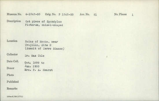 Documentation associated with Hearst Museum object titled Worked shell, accession number 4-1243, described as Cut piece of Spondylus pictorum, chisel-shaped.