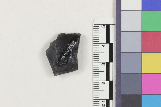 Hearst Museum object 1 of 2 titled Flake fragment, accession number 16-14383, described as Projectile point fragment; obsidian; triangular; weight: 2.9 grams; length: 1.8 cm; width: 2.15 cm; depth: 0.62 cm.