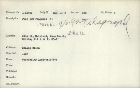 Documentation associated with Hearst Museum object titled Fish bone, accession number 1-35781, described as Fish jaw fragment