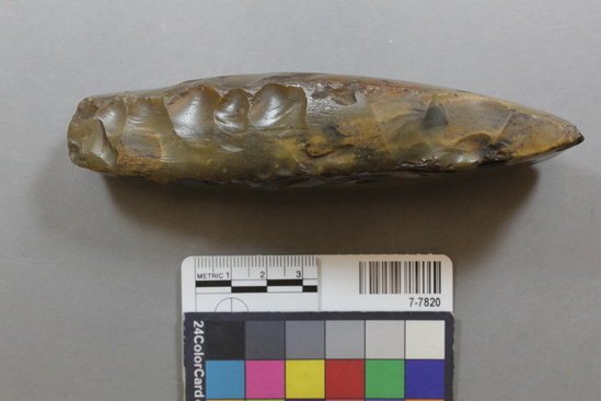 Hearst Museum object titled Adze blade, accession number 7-7820, described as Adze blade, chipped and polished chert, trapezoidal outline; narrow flat base with expanded, convex cutting edge; length 13.5 cm