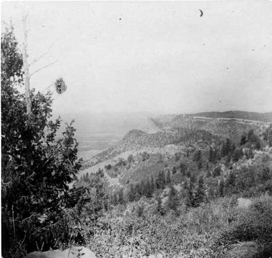 Hearst Museum object titled Black-and-white print, accession number 13-376h, described as One of a set of 17 mounted photos, 3¼ x 3¼ inches, of ruins and scenes of Cliff houses, Mesa Verde, Colorado.