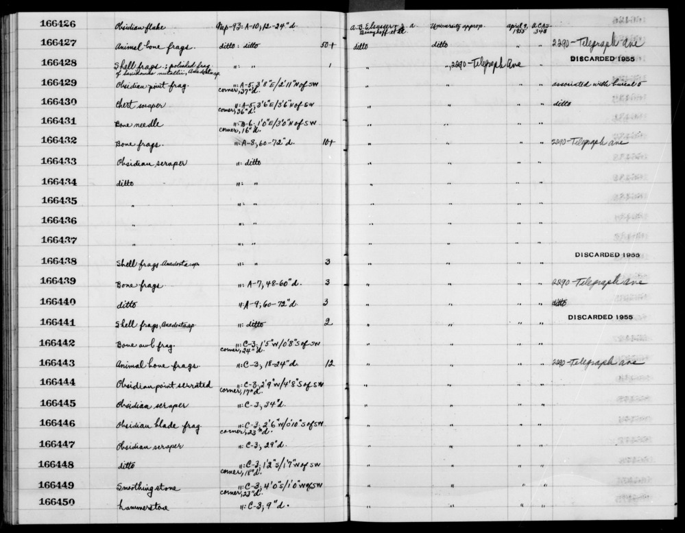 Documentation associated with Hearst Museum object titled Ulna, r, accession number 1-166432.3, no description available.