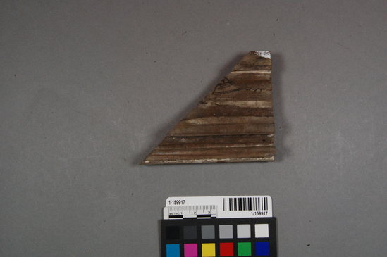 Hearst Museum object titled Wood fragment, accession number 1-159917, described as Sawed scrap of milled wooden molding with adhering cream paint or putty.