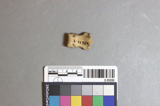 Hearst Museum object titled Mammal bone, accession number 2-35350, described as Bear phalanx