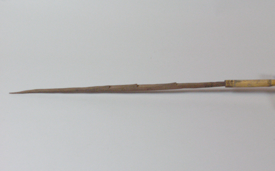 Hearst Museum object titled Arrow, accession number 16-531, described as Arrow, barbed hardwood point, cane shaft, feathers in poor condition