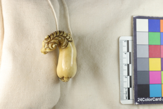 Hearst Museum object 1 of 12 titled Netsuke, accession number 9-18830, described as Netsuke; horse, standing, facing to its left; exxagerated [sic, exaggerated] facial features and generalized body; four feet connected by patch representing ground; H 3.7 cm X L 4.2 cm