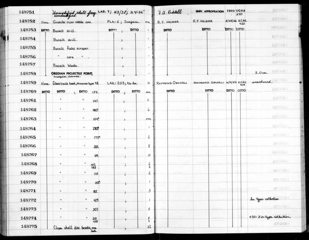 Documentation associated with Hearst Museum object titled Shell, accession number 1-148751, described as Unmodified, unidentified.