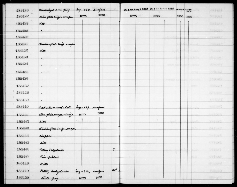 Documentation associated with Hearst Museum object titled Shell fragment, accession number 1-185450, described as Shell fragment