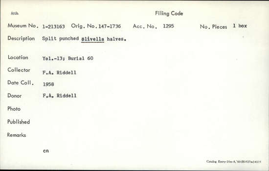 Documentation associated with Hearst Museum object titled Shell fragments, accession number 1-213163, described as Split punched olivella halves.