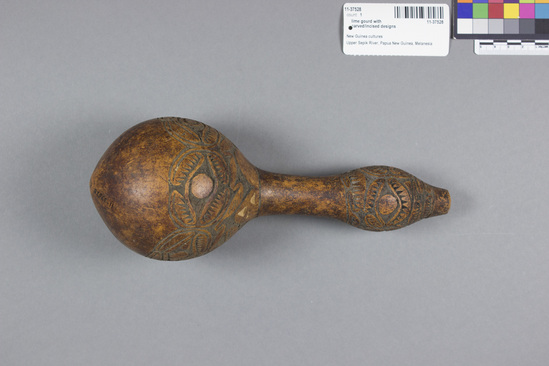 Hearst Museum object titled Lime gourd, accession number 11-37528, described as lime gourd, carved with constricted neck; incised designs with excised areas blackened with soot; contains lime, used as a stimulant