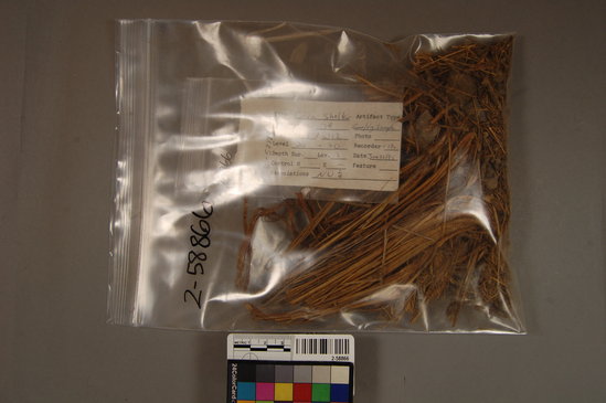 Hearst Museum object titled Vegetal sample, accession number 2-58866, described as 1 bag, Civa Shelter, 6-25-75