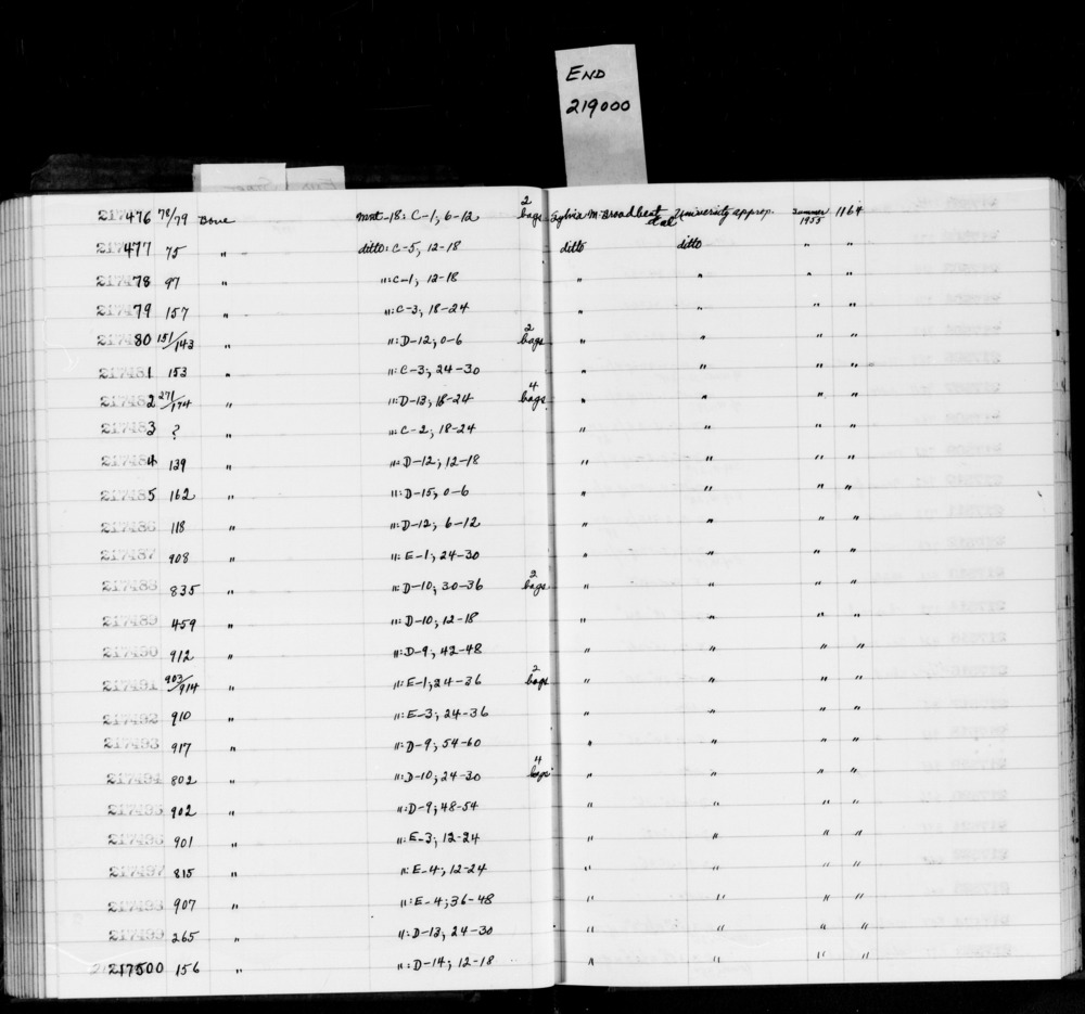 Documentation associated with Hearst Museum object titled Shell fragment, accession number 1-217478.3, no description available.