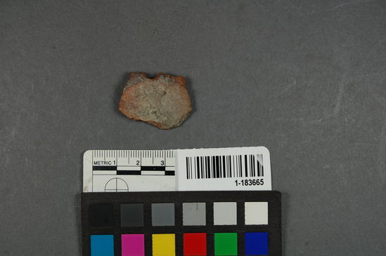 Hearst Museum object titled Potsherd, accession number 1-183665, described as Perforated.