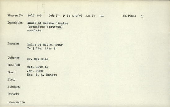 Documentation associated with Hearst Museum object titled Shell, accession number 4-15a, described as Shell of marine bivalve (Spondylus pictorum); complete.