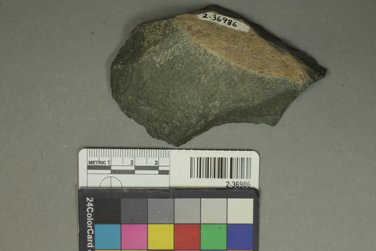 Hearst Museum object titled Chopper, accession number 2-36986, described as Plano-covex chopper of greenish basalt, shows wear