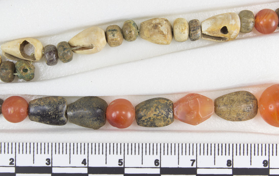 Hearst Museum object 5 of 10 titled Beads, accession number 6-16293, described as Beads: string of shell, carnelian, green stone amethyst, various shapes, l  62 cm. open.