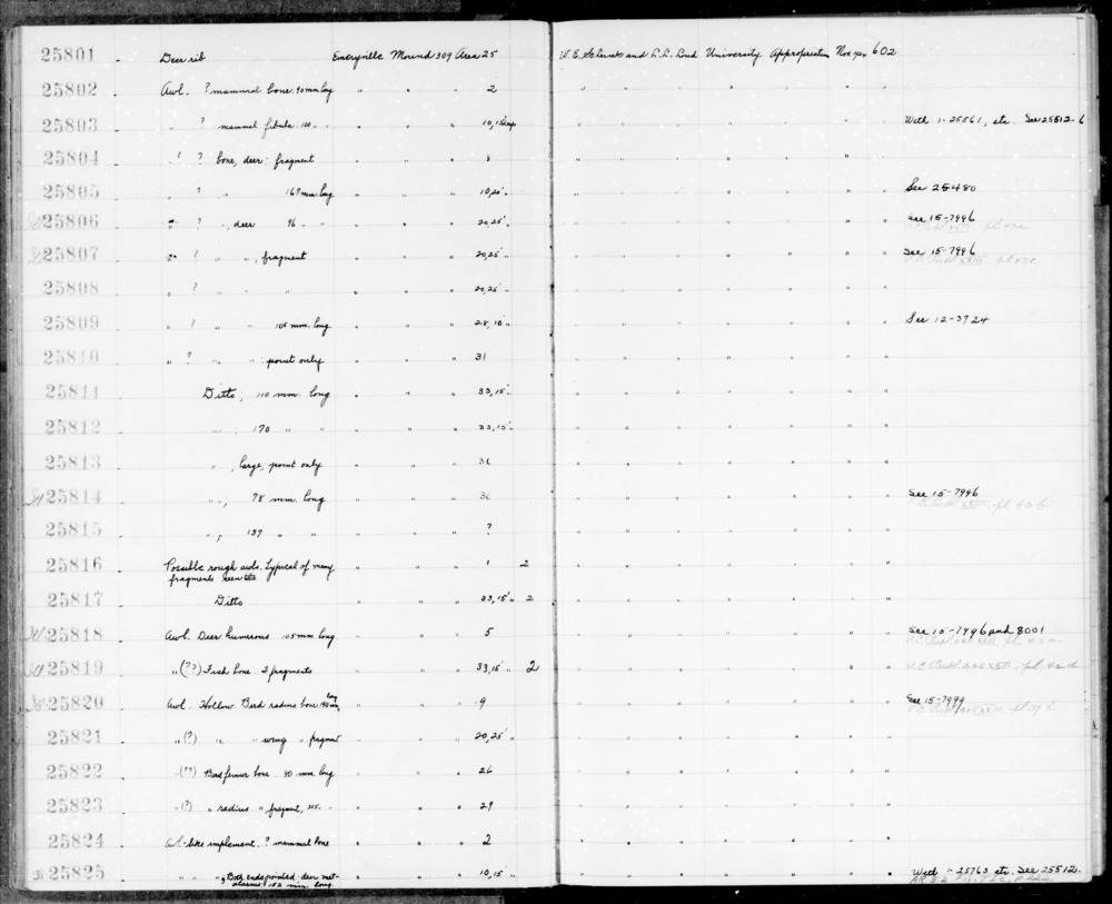 Documentation associated with Hearst Museum object titled Awl, accession number 1-25803, described as mammal fibula